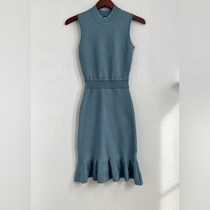 Bebe  Bodycon Dress in Blue